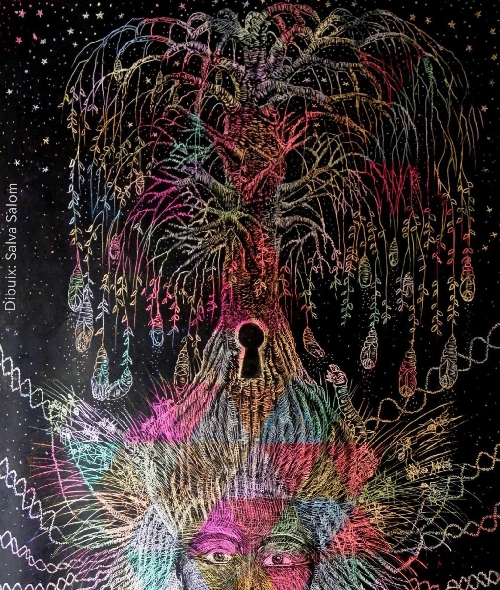 Yoga Nidra Meditación