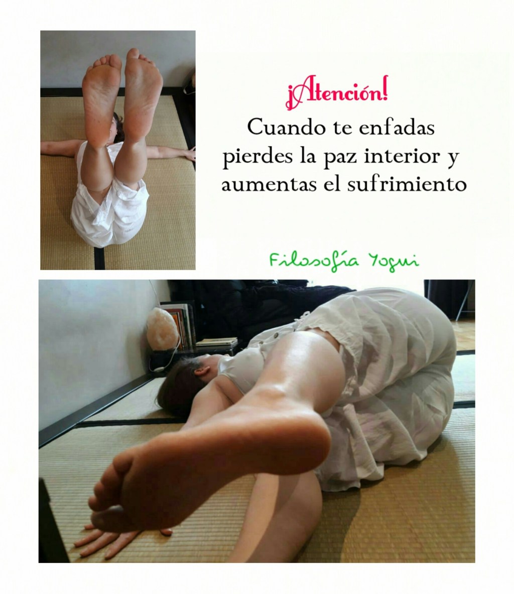 Mecanica emocional de la&nbsp;Ira