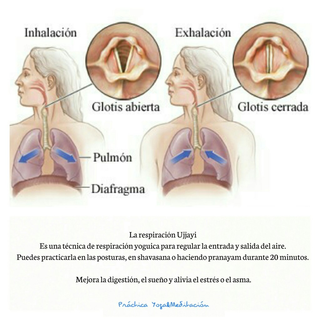 Respiración ujjayi