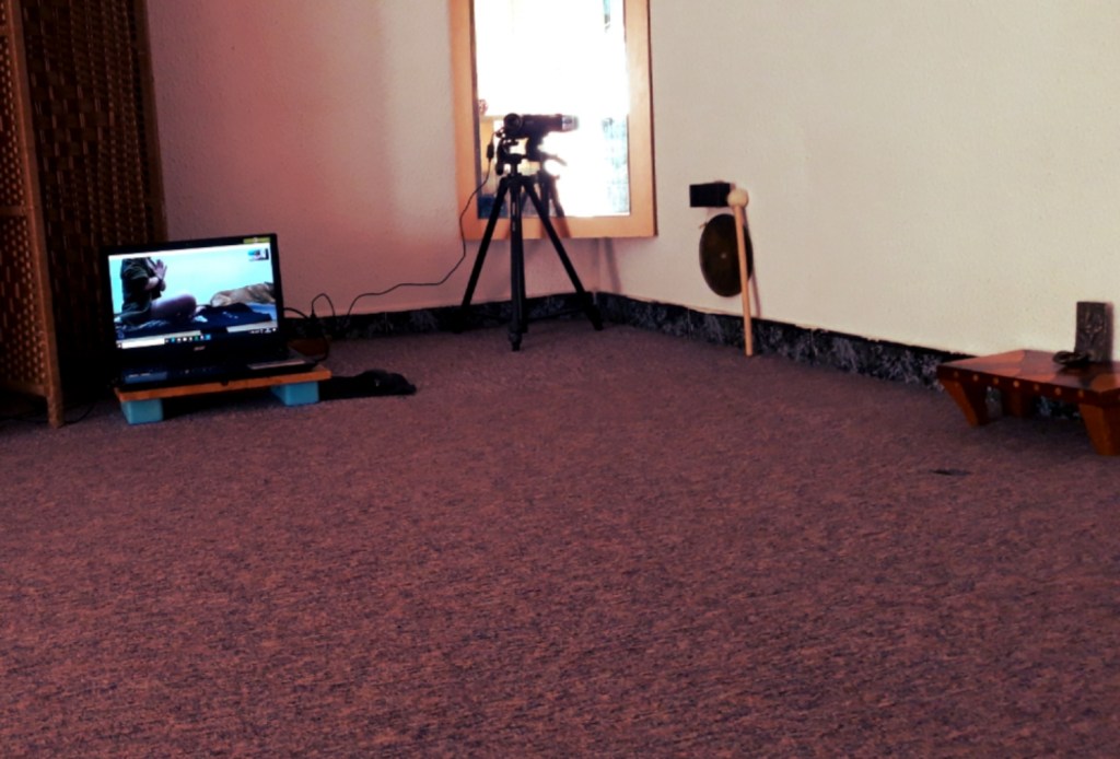 Semillas del confinamiento