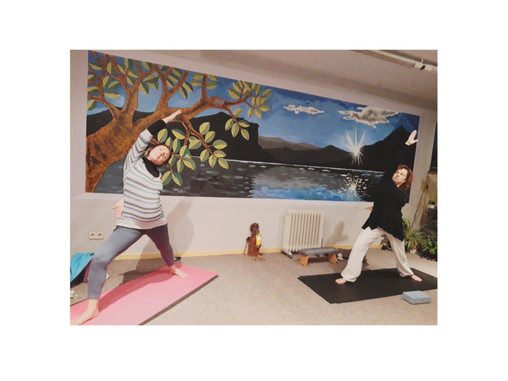 Yoga Integral, sadhana de yoga&nbsp;regular