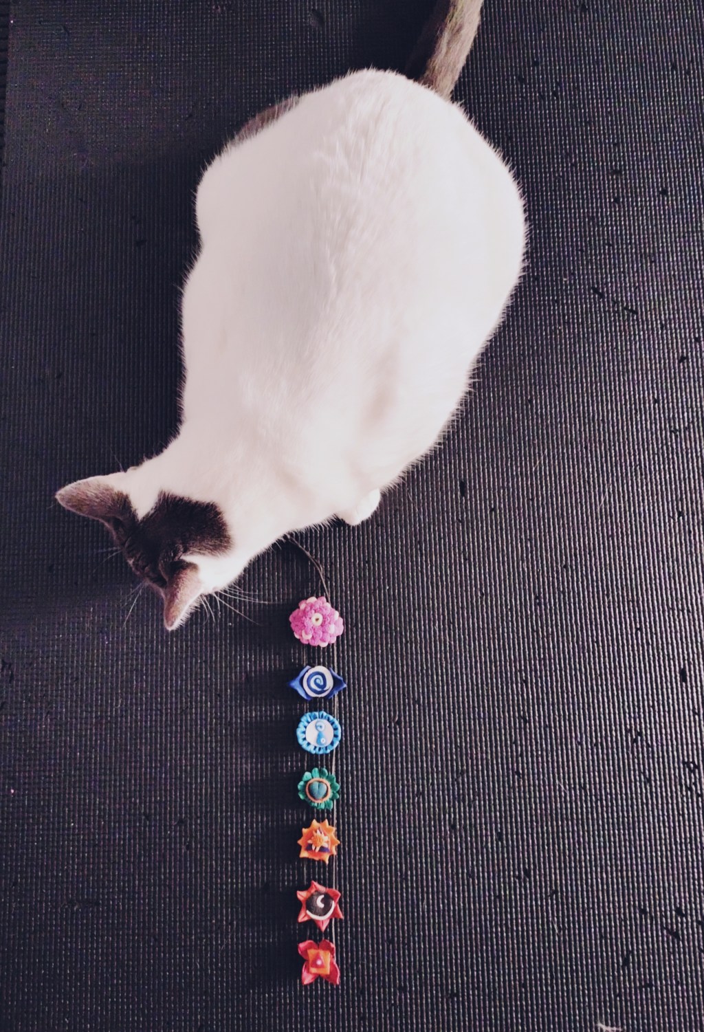 LAS FLORES DE TU JARDÍN&nbsp;INTERIOR