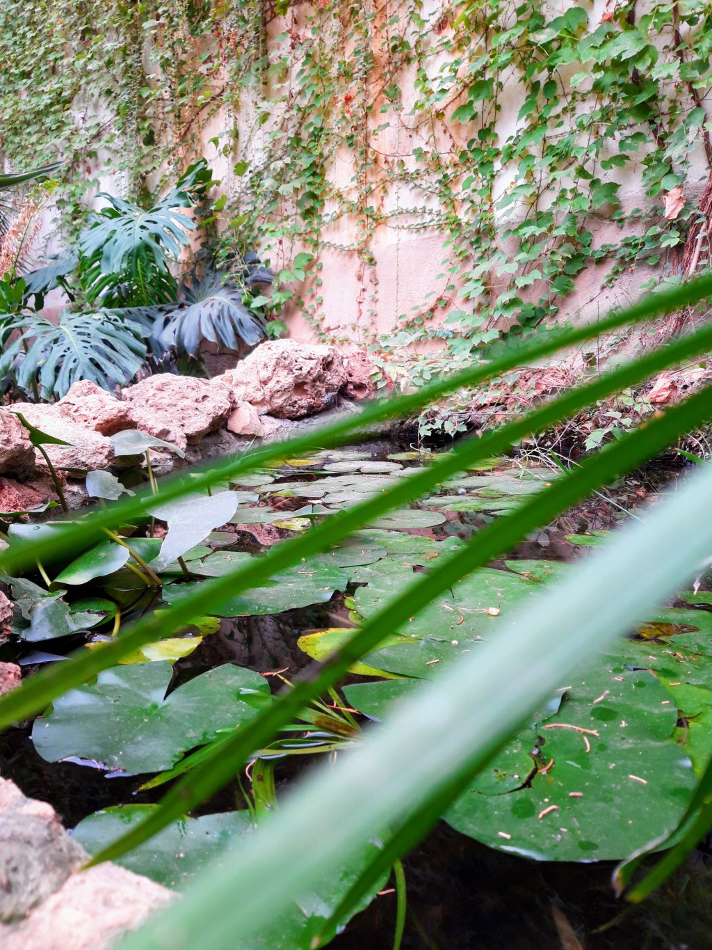 Viaje descendente por los&nbsp;Chakras