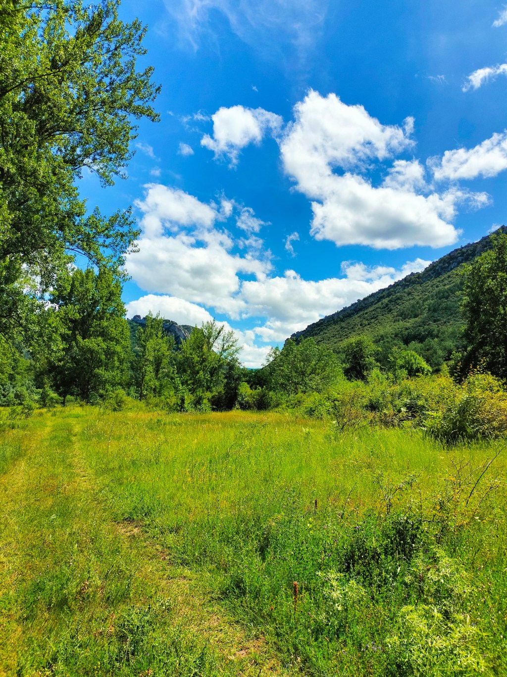 «Eso» Nirguna Brahman