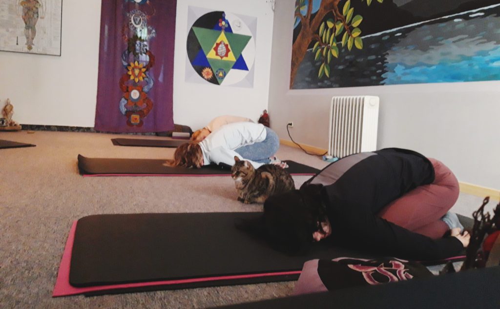 MASTERCLASS DE YOGA&SALUD